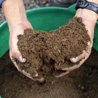 Hands in compost